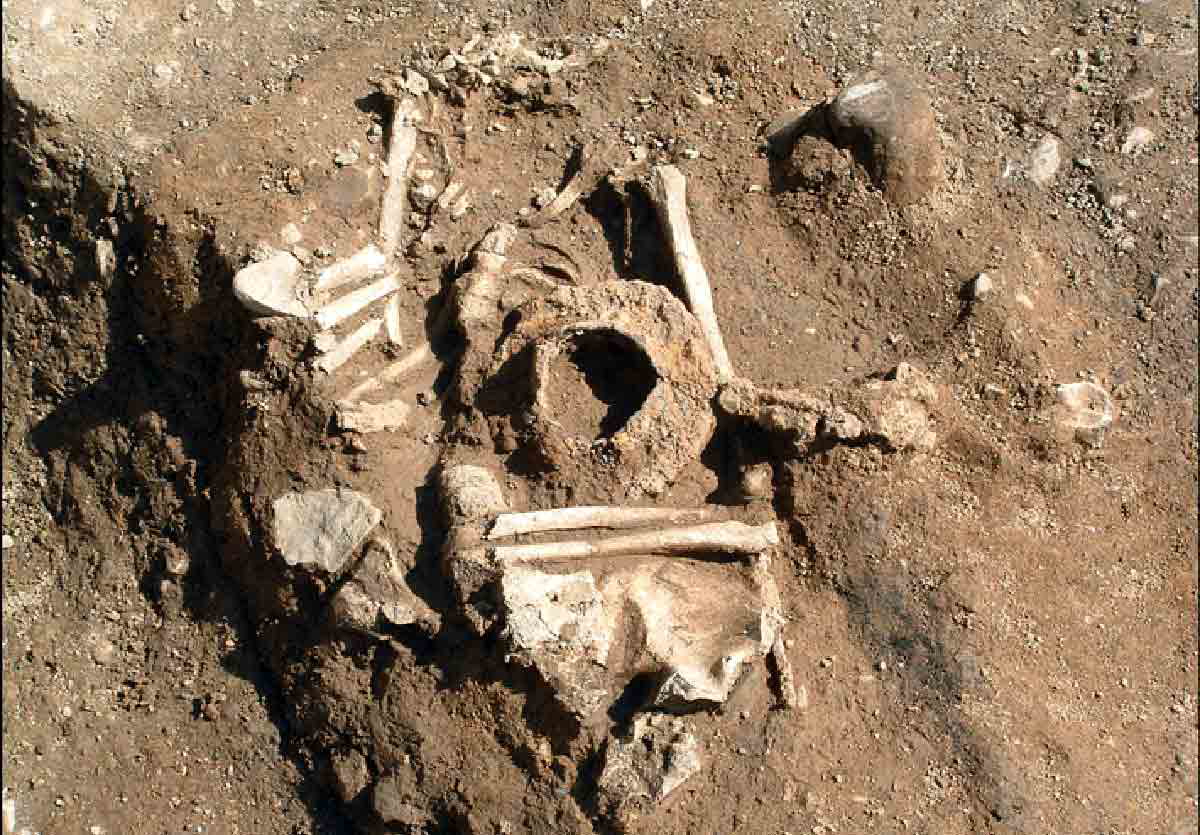 Viking Warrior grave Dublin