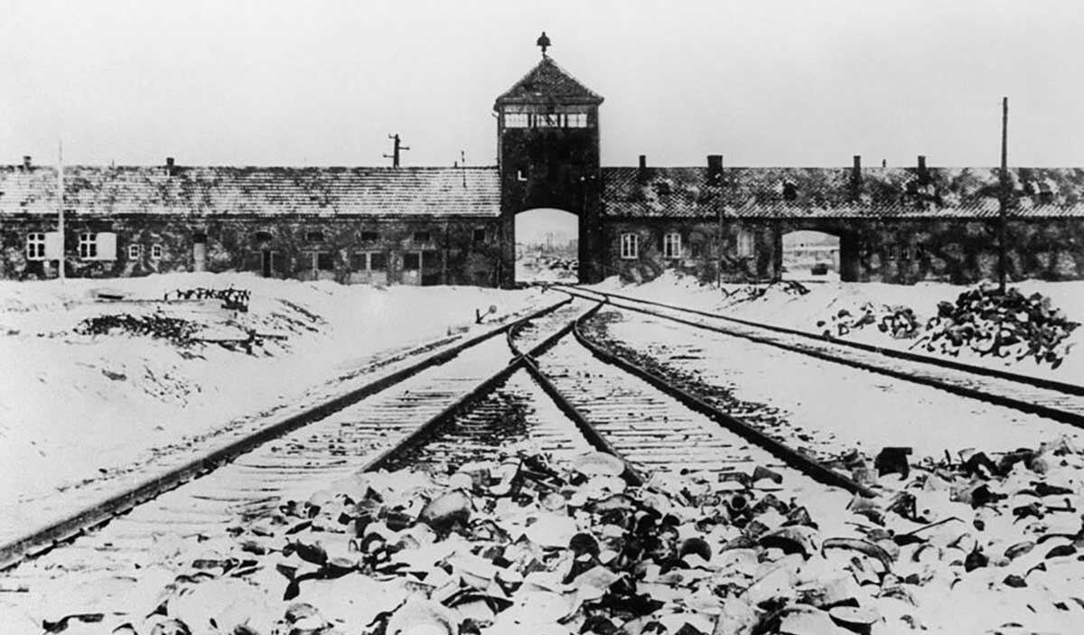 auschwitz liberation photograph