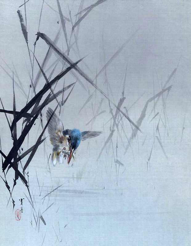 bird catching fish reeds