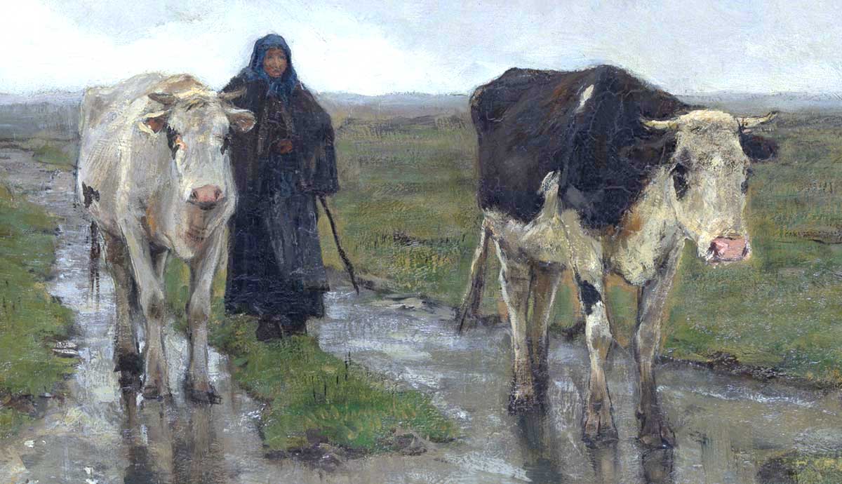 changing pasture mauve