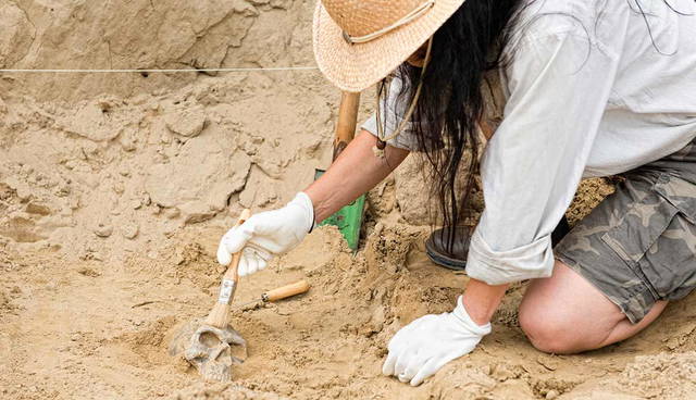 Archaeologist brushing human skull in excavation