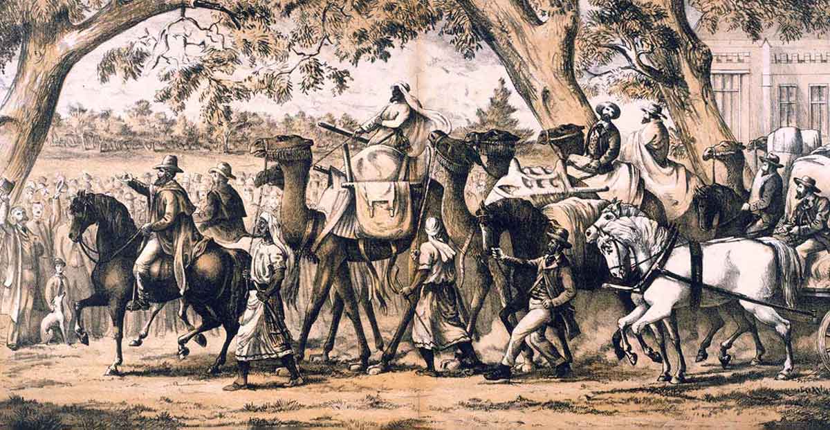 departure burke wills camels desert expedition