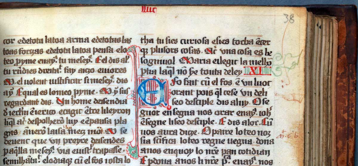 excerpt waldensian bible