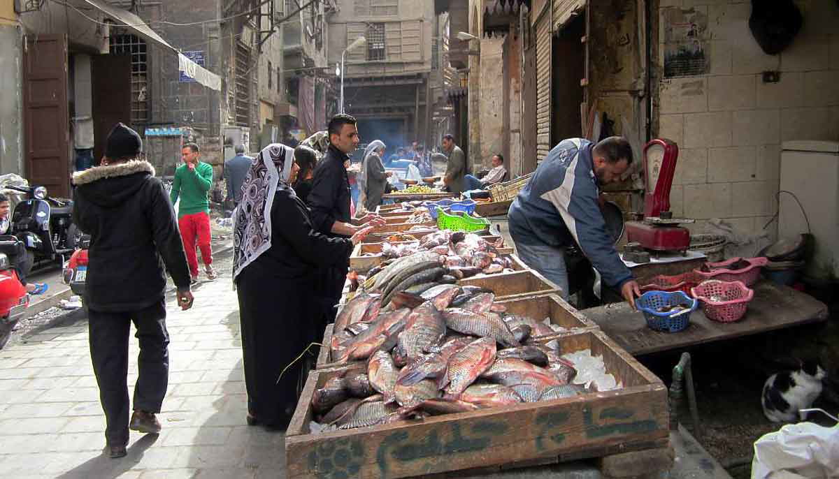 fish mongers cairo islamic quarter