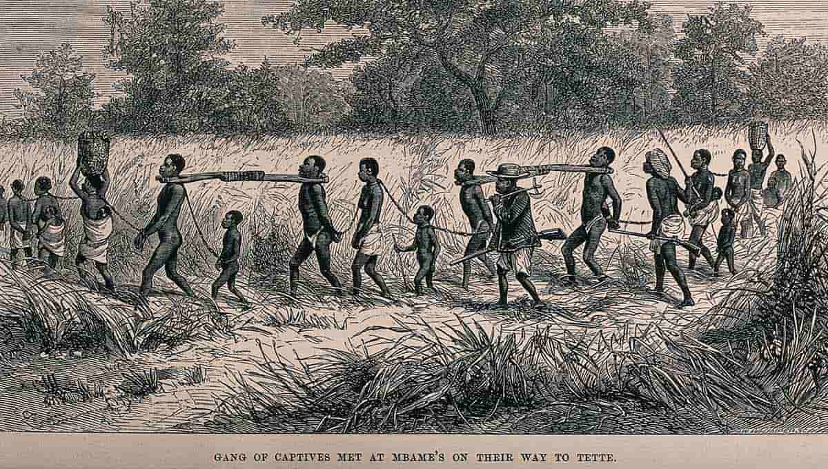 gang of captives