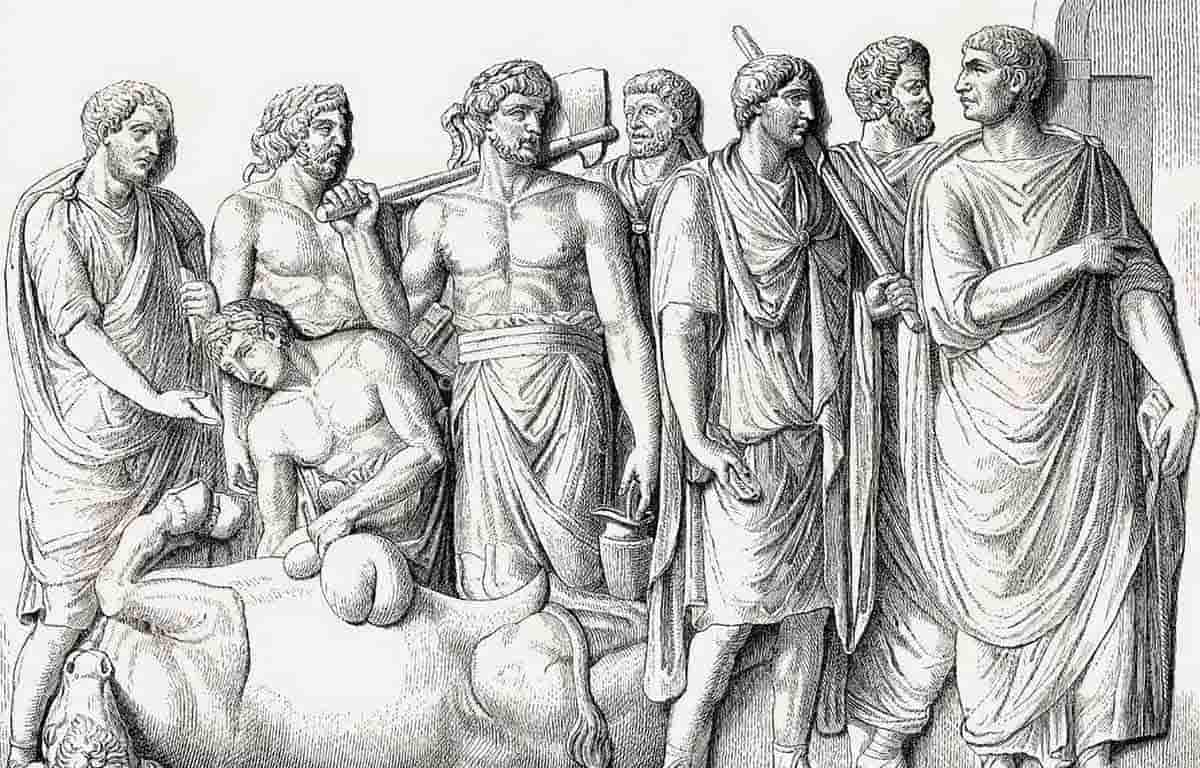 haruspex examines liver roman warfare