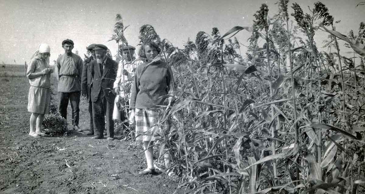 jewish collective ukraine