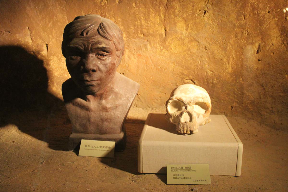 jinniushan man skull