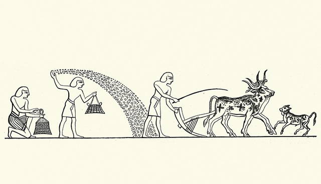 Ancient farmers sowing and plowing fields