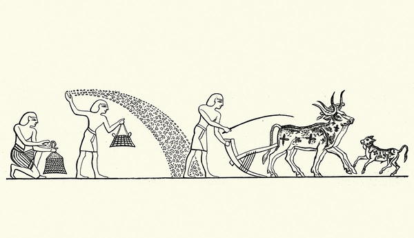 Ancient farmers sowing and plowing fields