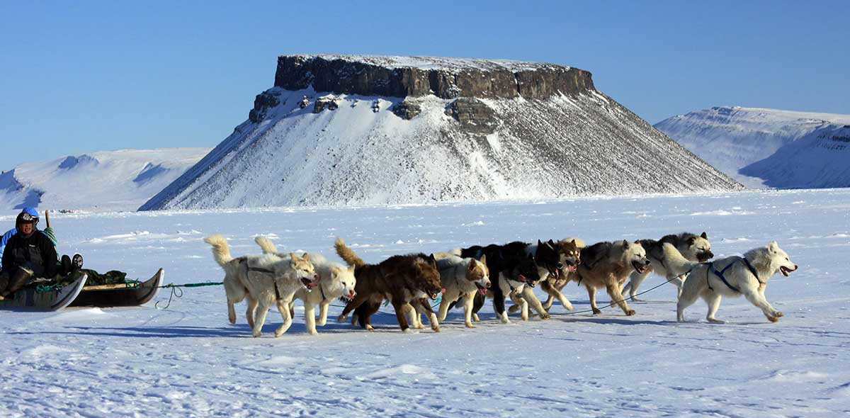 main pic dog sledding pack