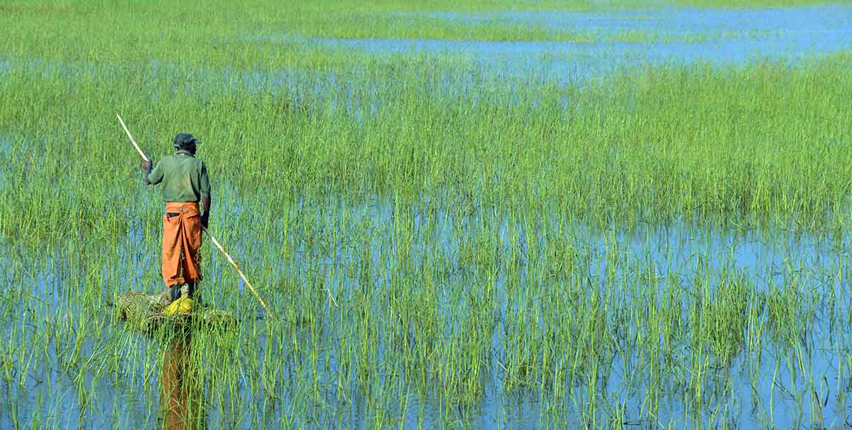 man lunda angola settler colonialism