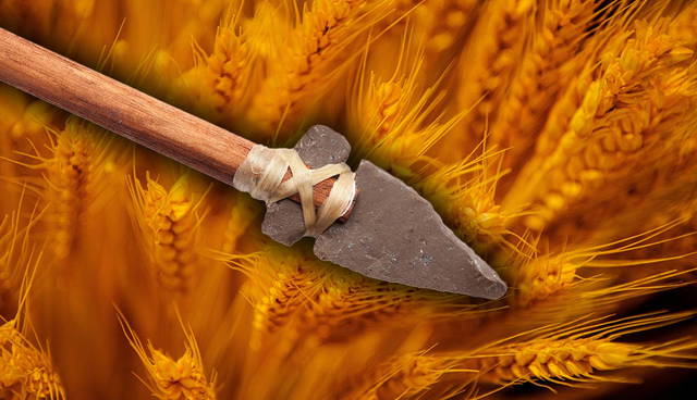 Stone arrowhead over golden wheat