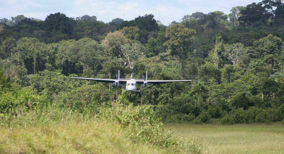 small plane forest canopy