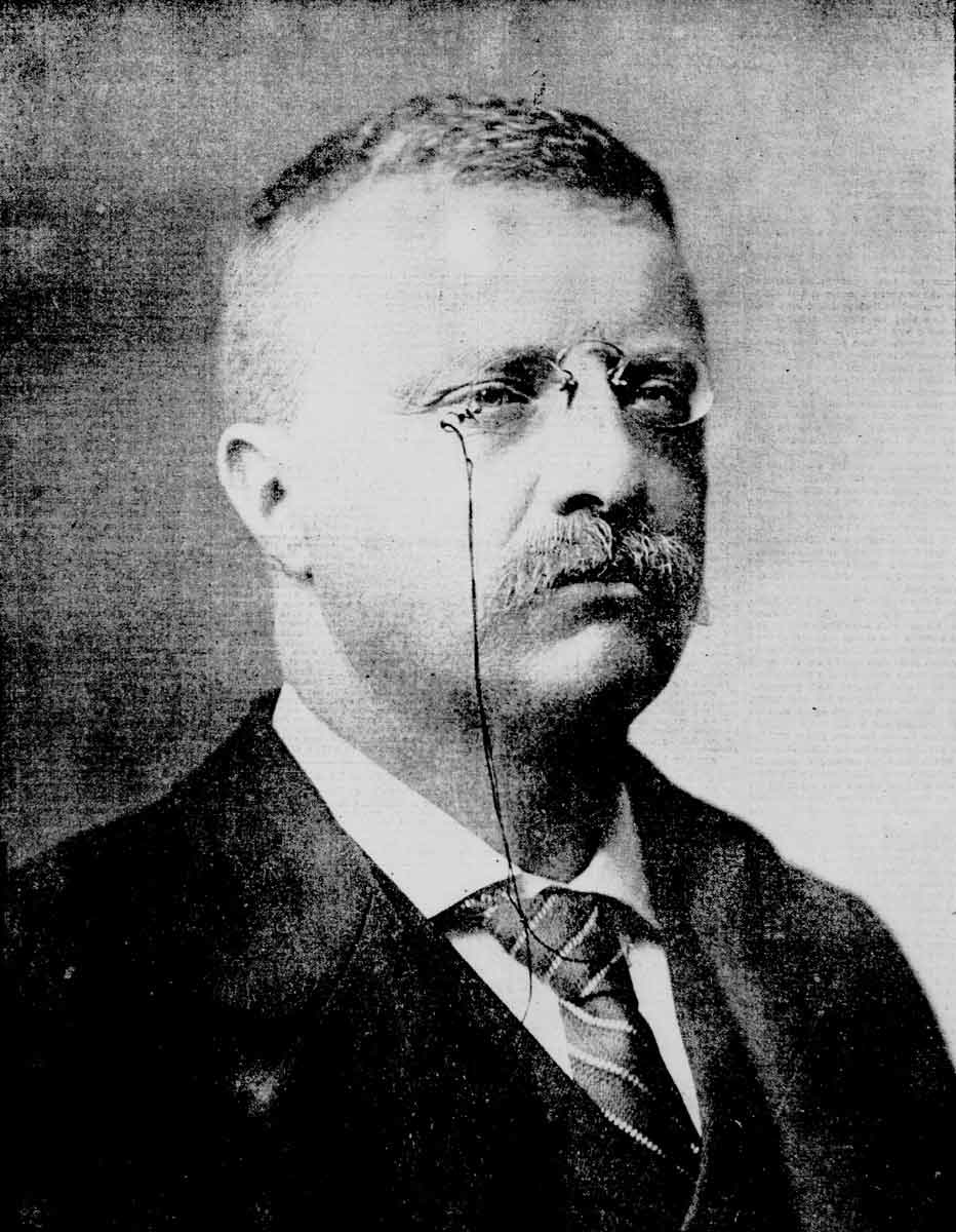 theodore roosevelt us president