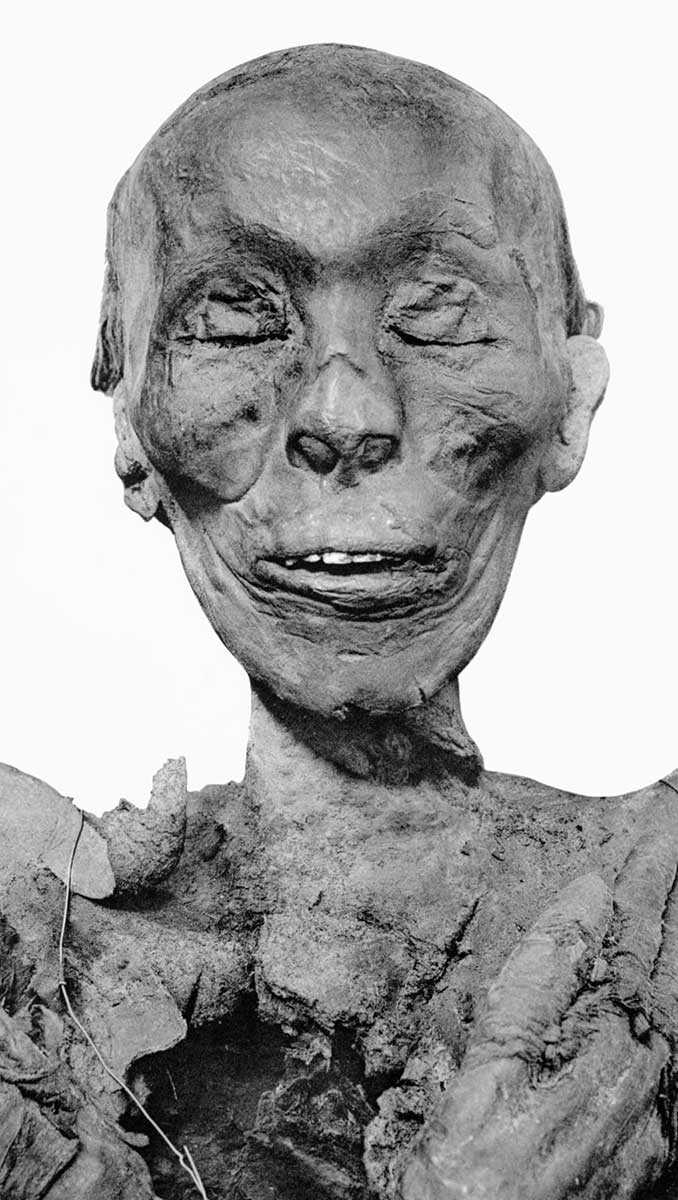 thutmose ii mummified head