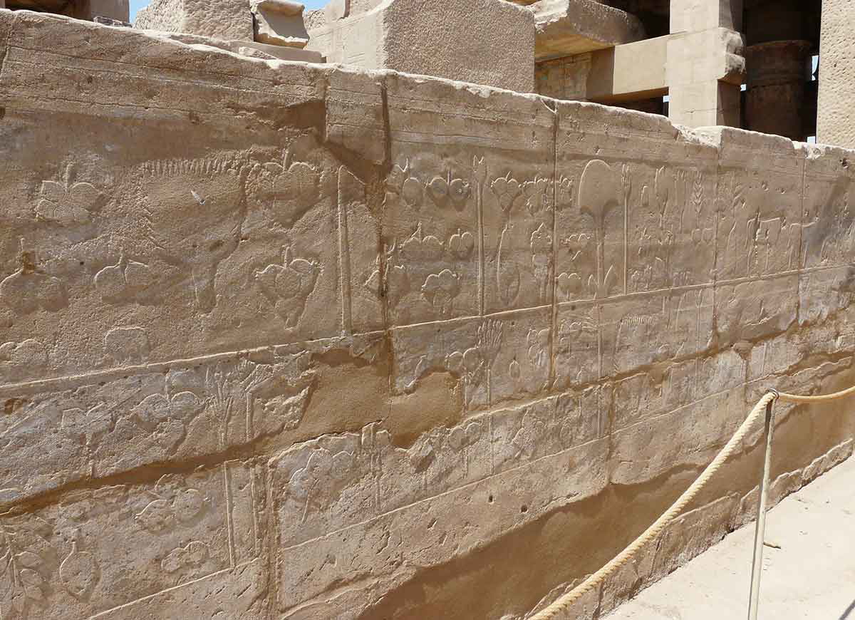 thutmose iii botanical garden