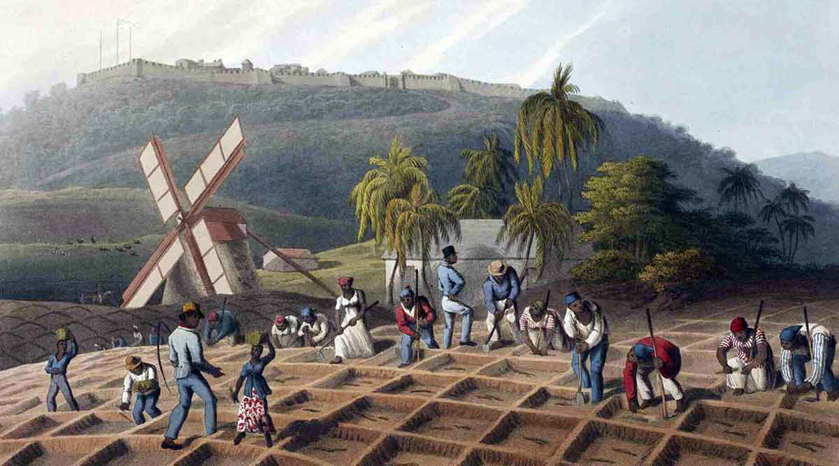 transatlantic slaves in plantations painting