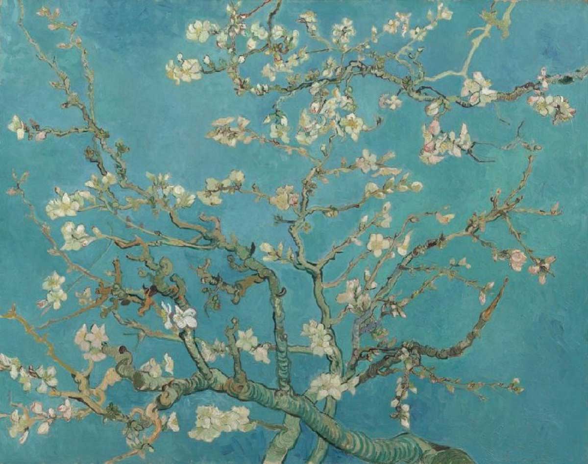 vincent van gogh almond blossom