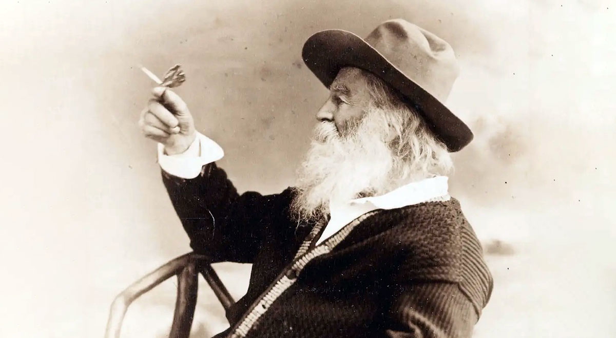 walt whitman