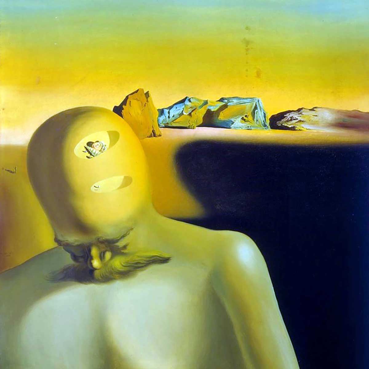 6.dali painting cranial