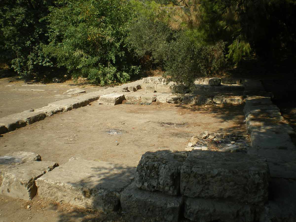 Remains Academy Author