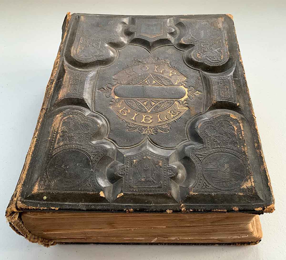bible 1880