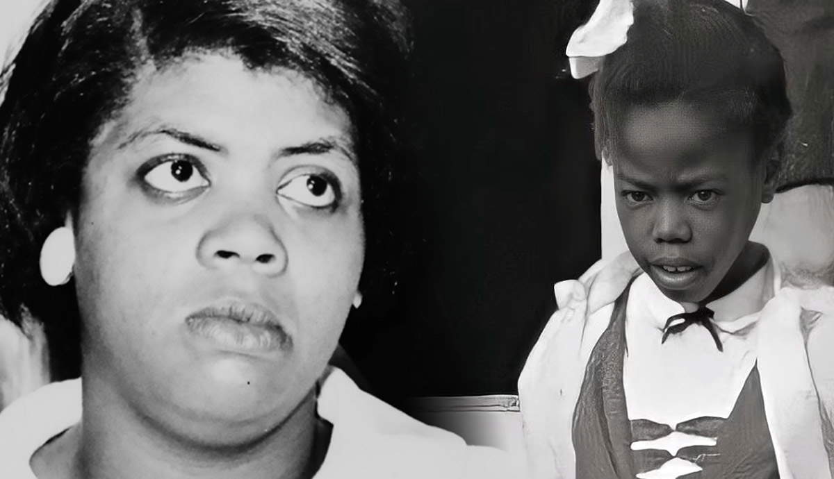 How Brown v. Board of Education Declared Segregated Schools Unequal
