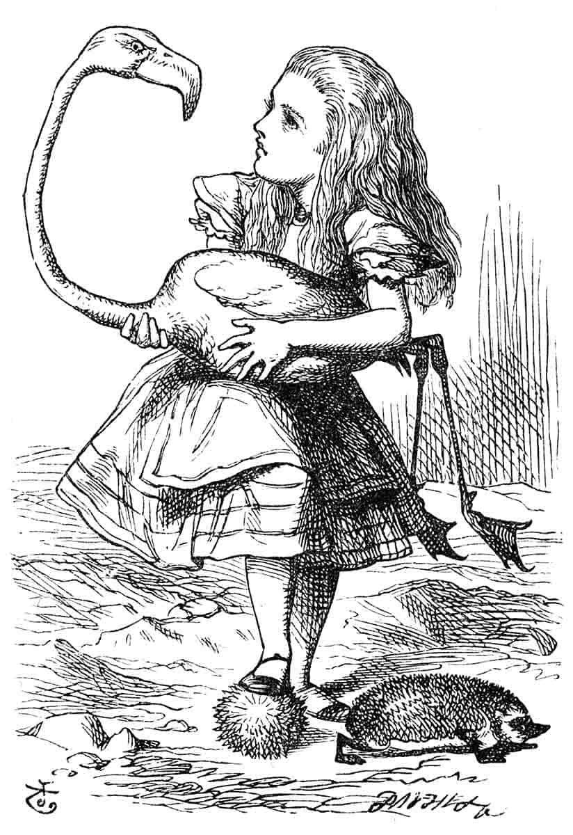croquet flamingo alice in wonderland