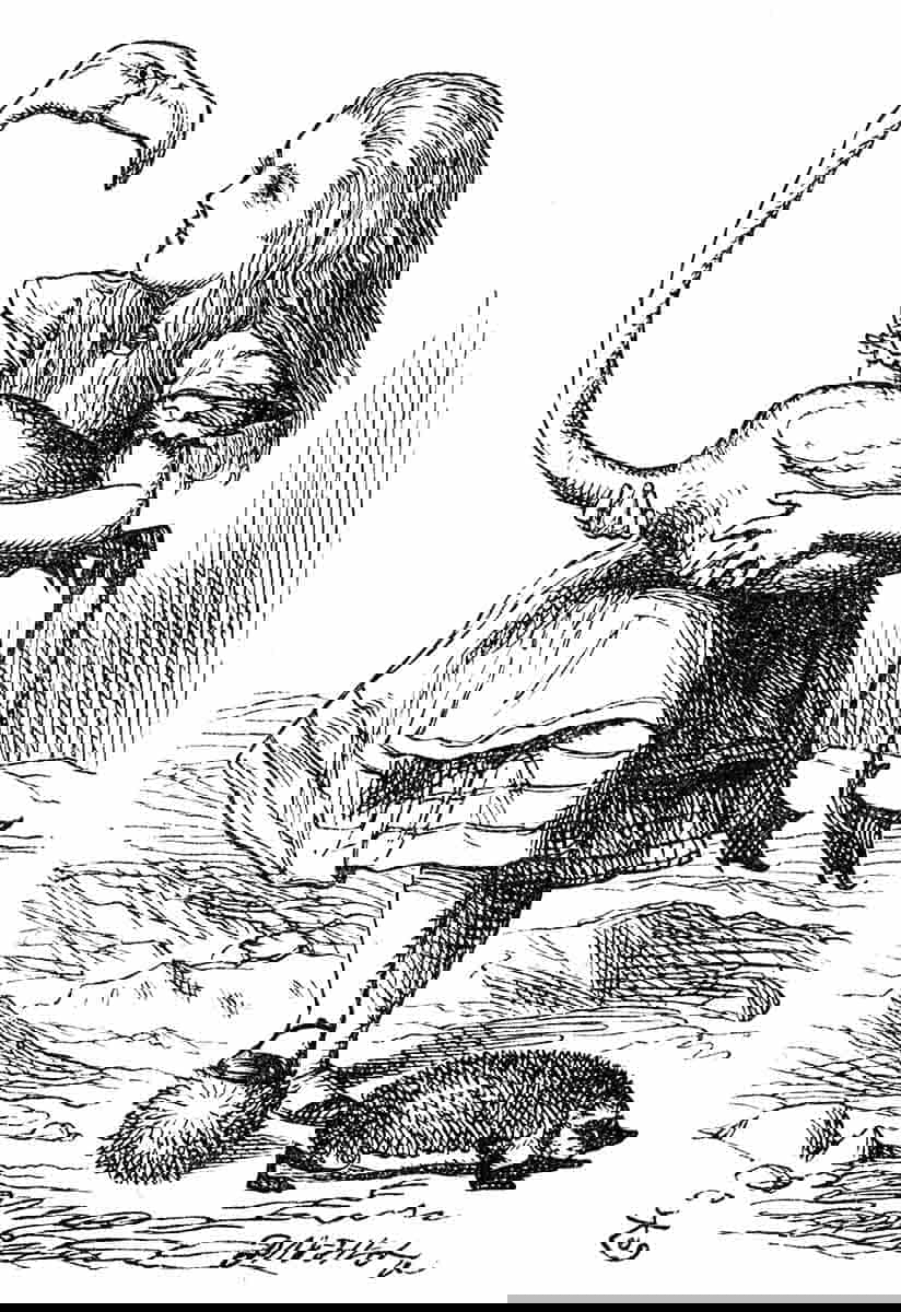 croquet flamingo alice in wonderland