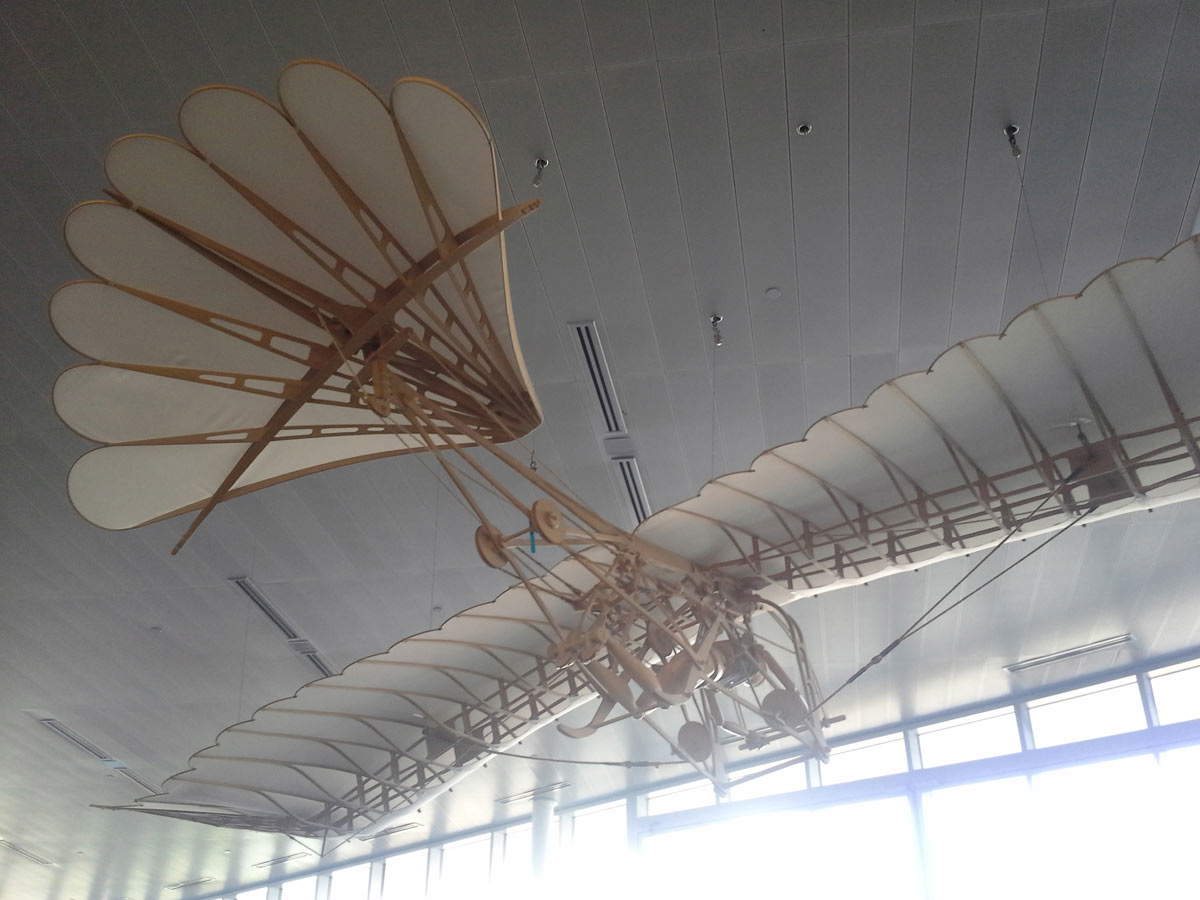 da vinci il cigno
