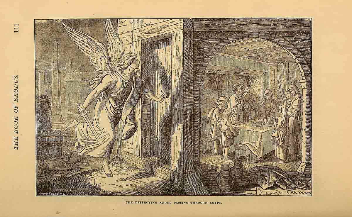 destroying angel anointing with oil