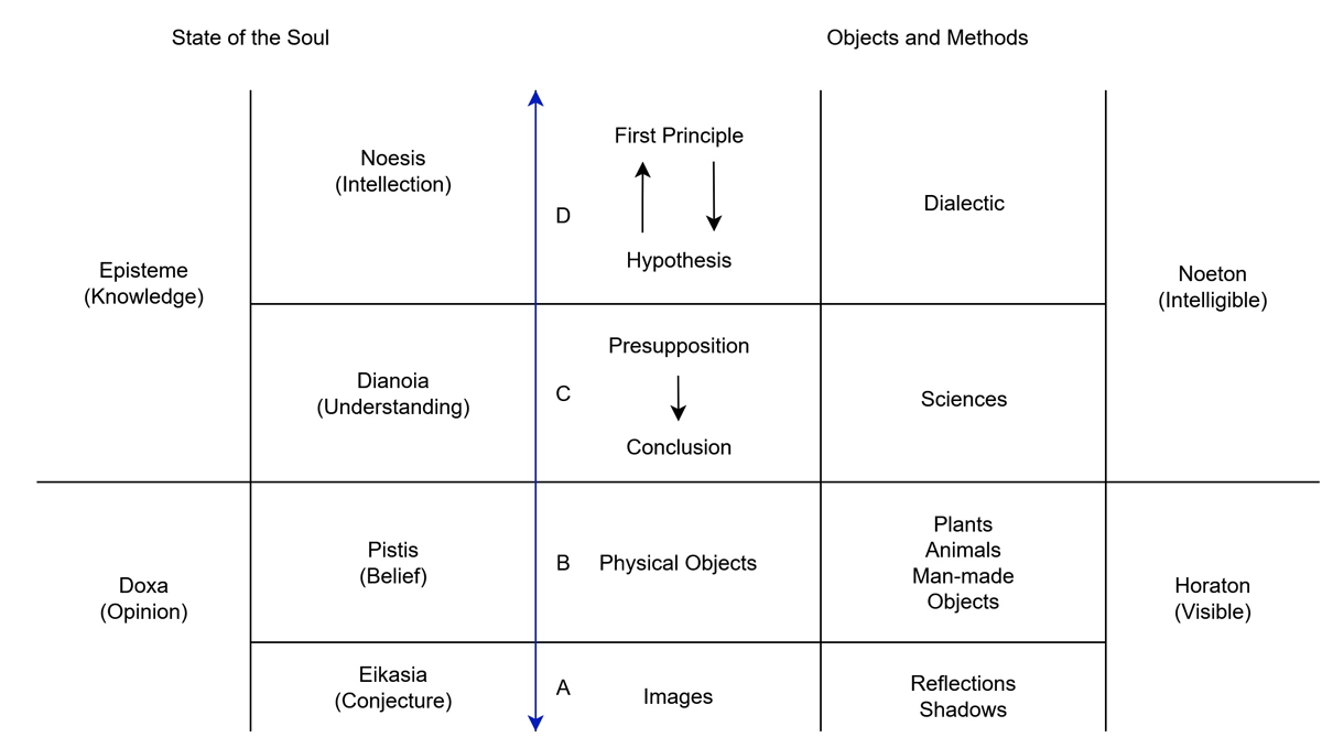 diagram divided line
