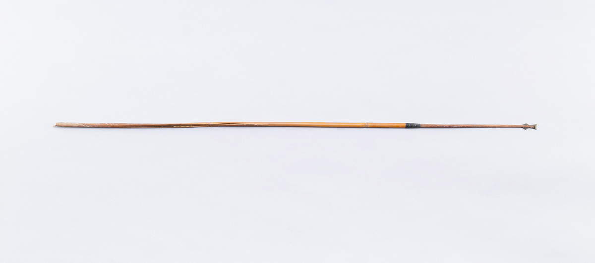 egyptian arrow photograph weapons bible