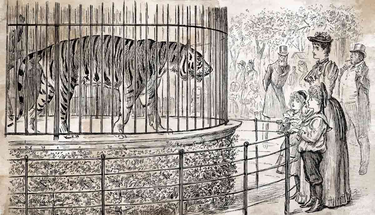 Victorian zoo visitors watching a caged tiger