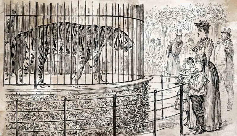 Victorian zoo visitors watching a caged tiger