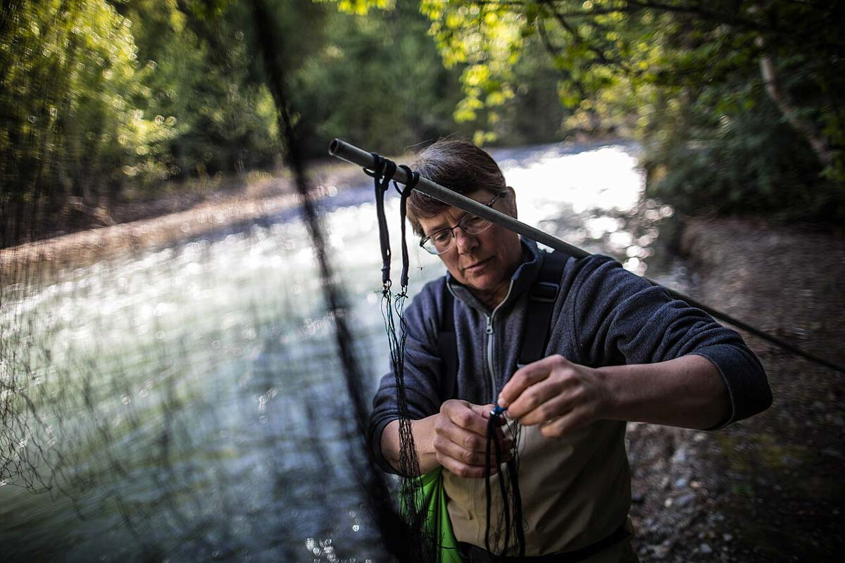 harlequin duck researcher in glacier