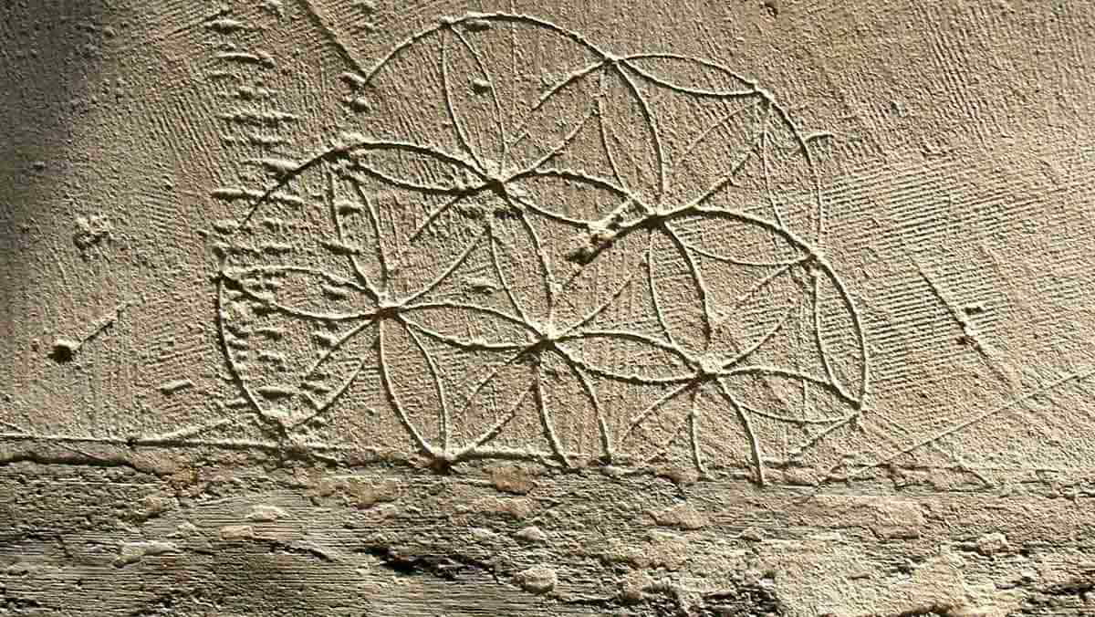 hexafoil marks norfolk england