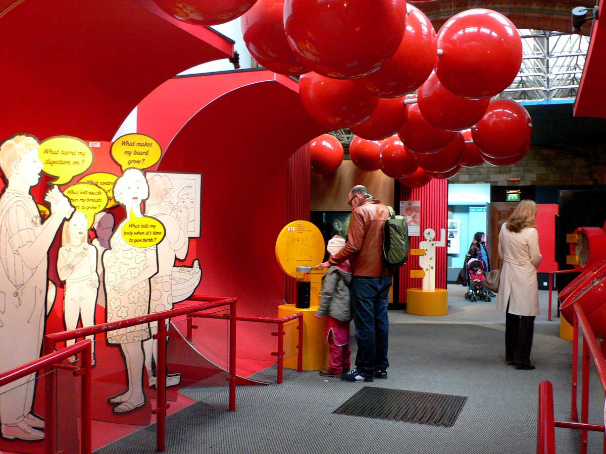 human biology gallery natural history musem london