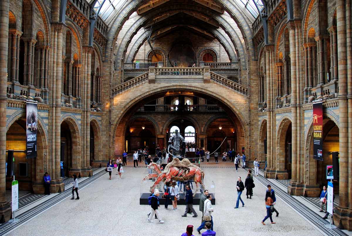 interior natural history museum london