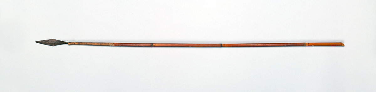 javelin shaft new kingdom photograph