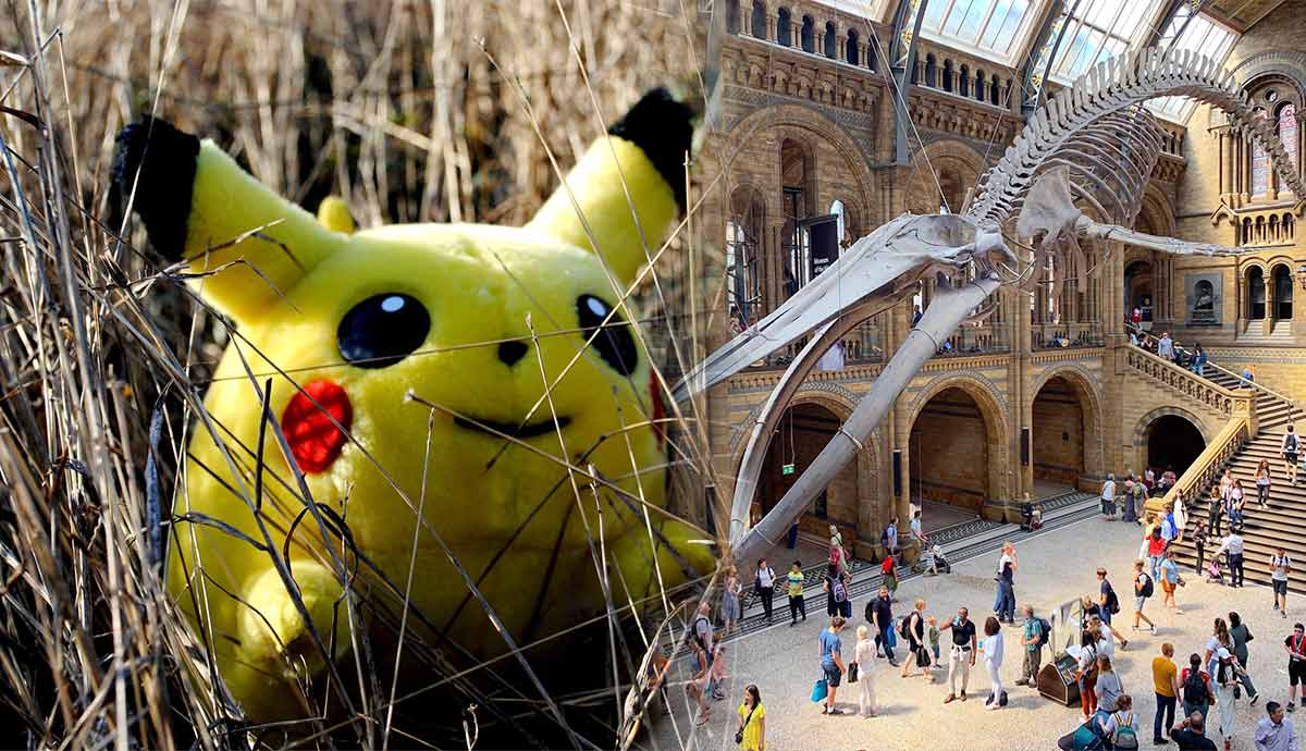 Pikachu beside blue whale skeleton exhibit