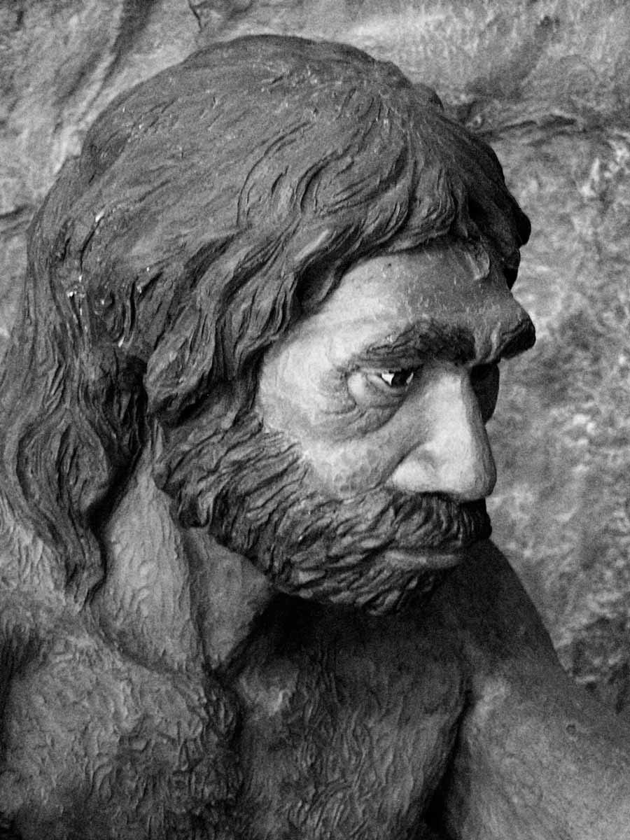 neanderthal man diorama anthropos pavilion