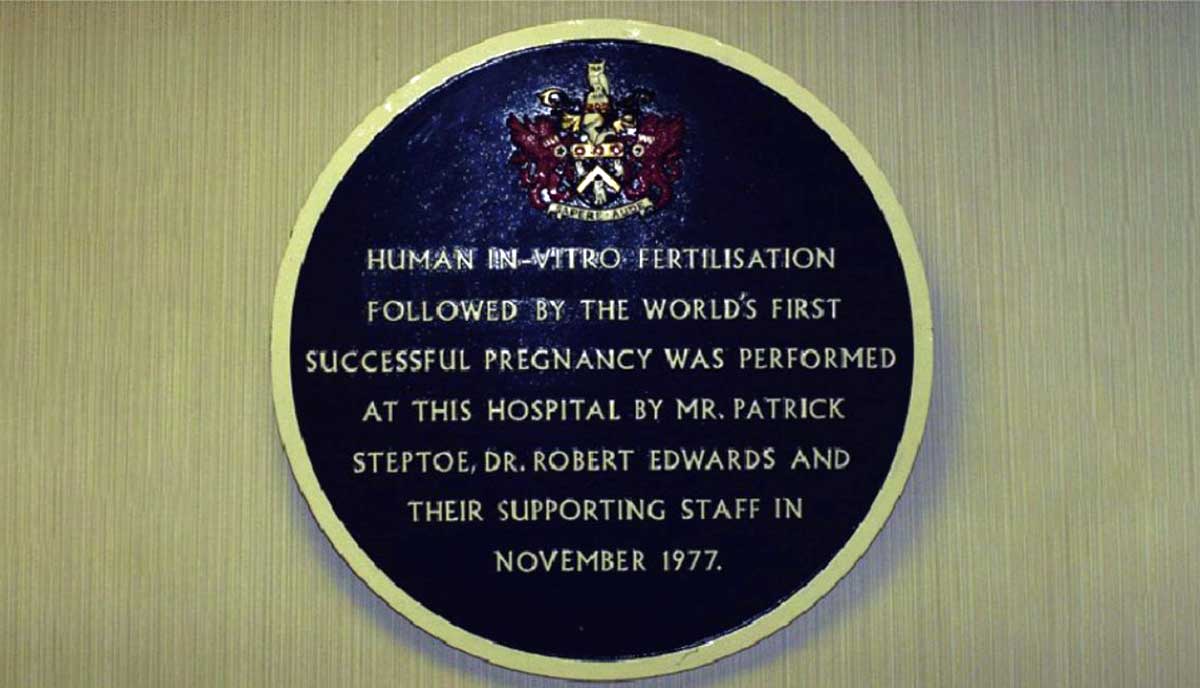 plaque missing jean purdy