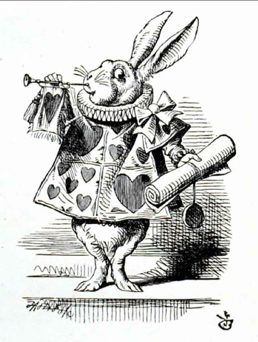 rabbit alice in wonderland
