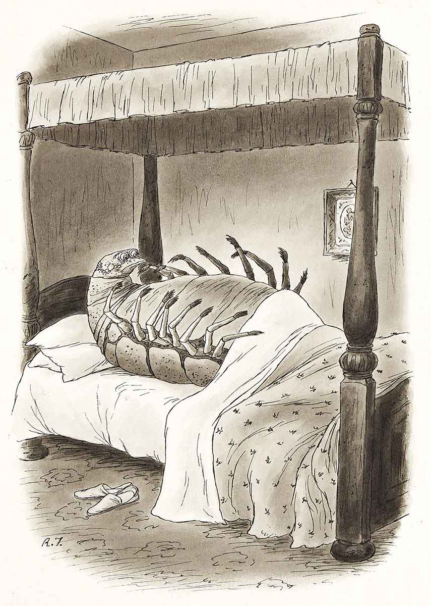 richard taylor metamorphosis