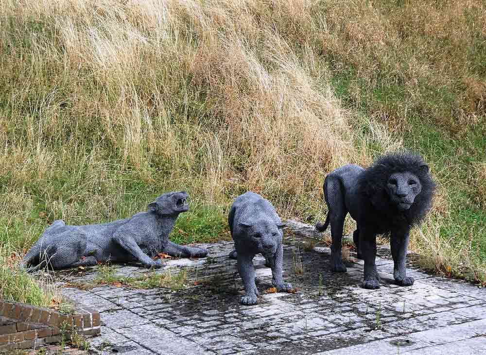 royal menagerie wire lions