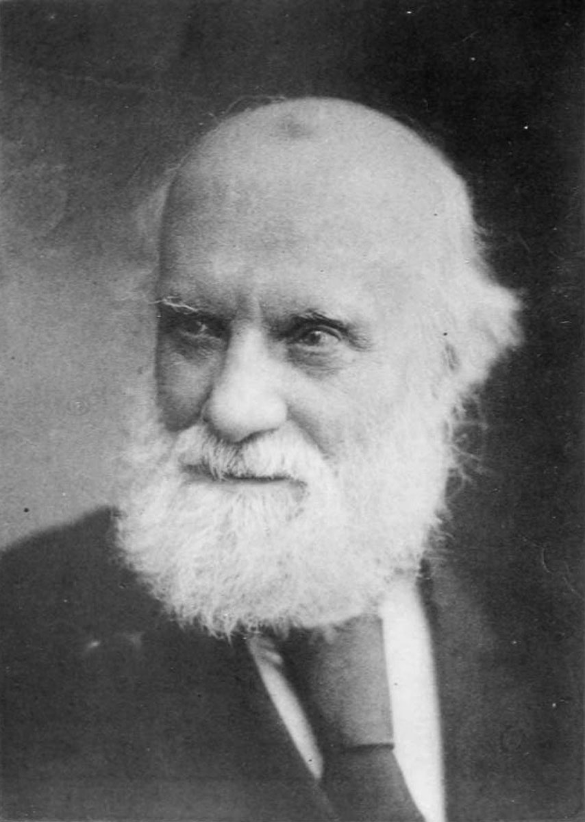 samuel birch rosetta stone