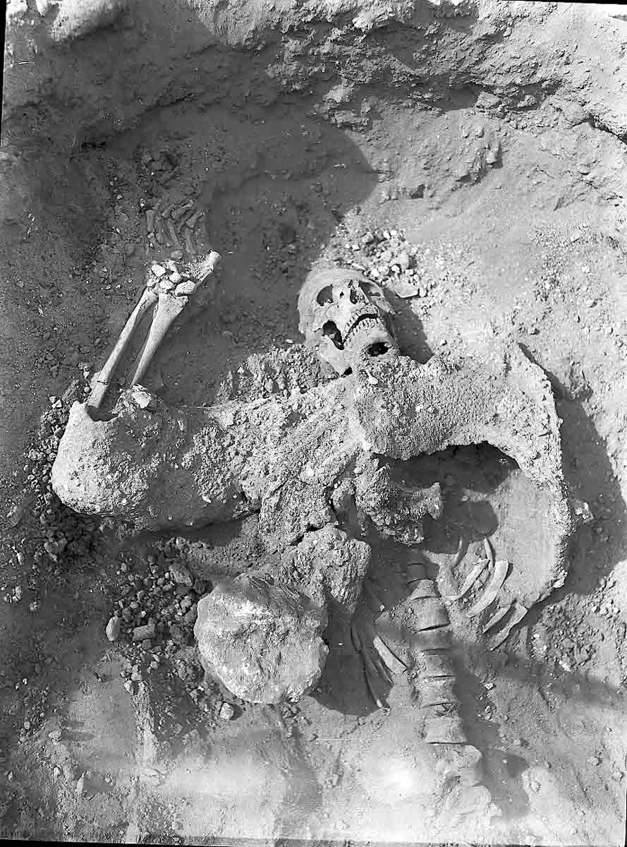 skeleton sasanian soldier
