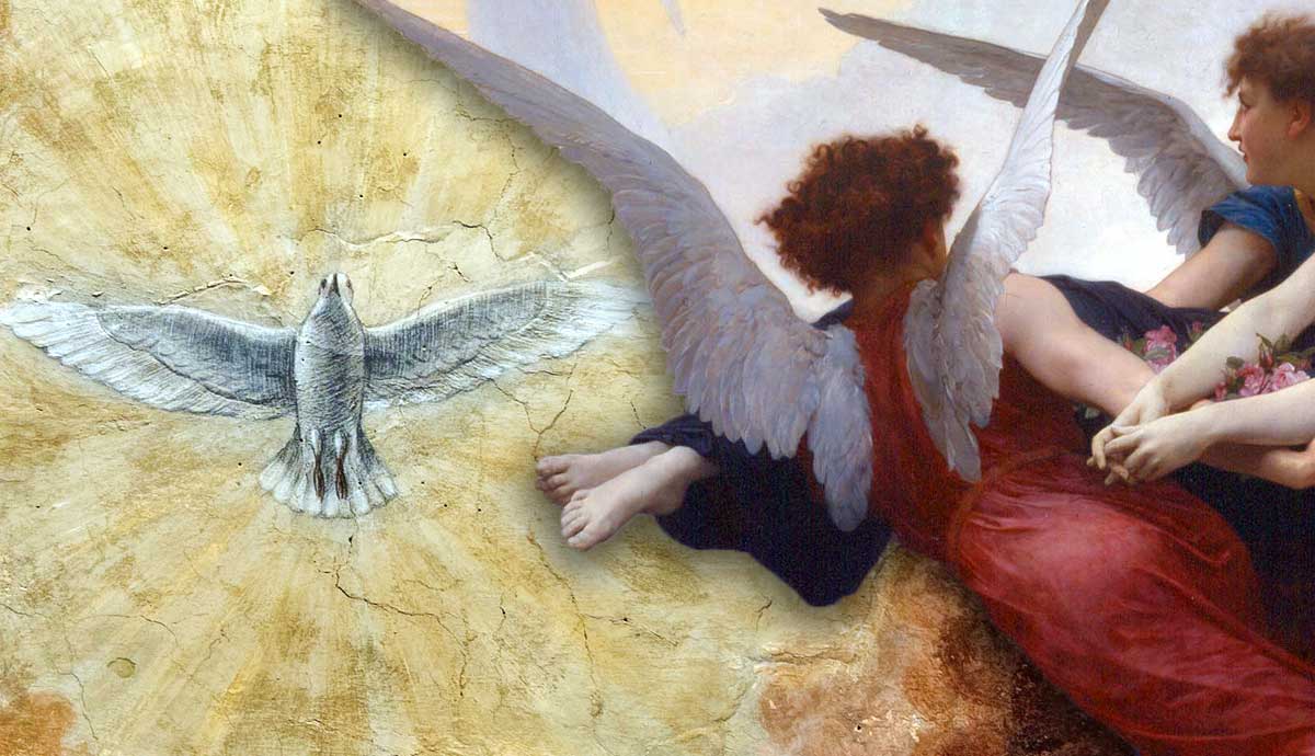 White dove and angels in classical painting style